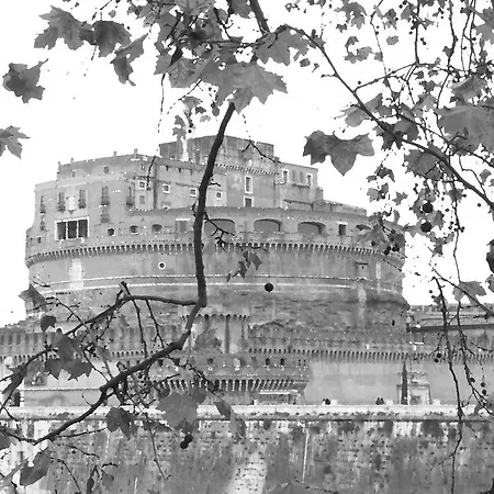 Blueberry 4* Roma
